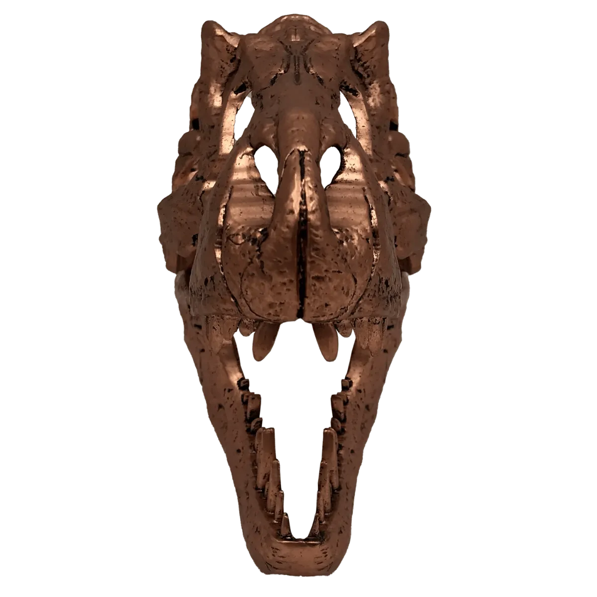 Jurassic Park - T-Rex Skull Scaled Prop Replica - Image 7