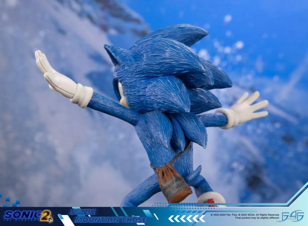 Sonic the Hedgehog 2 - Sonic Mountain Chase Statue - Image 12