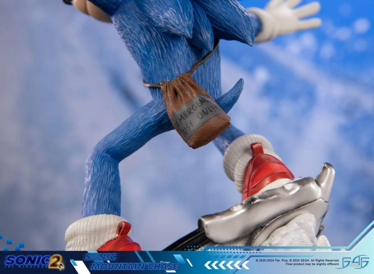 Sonic the Hedgehog 2 - Sonic Mountain Chase Statue - Image 15