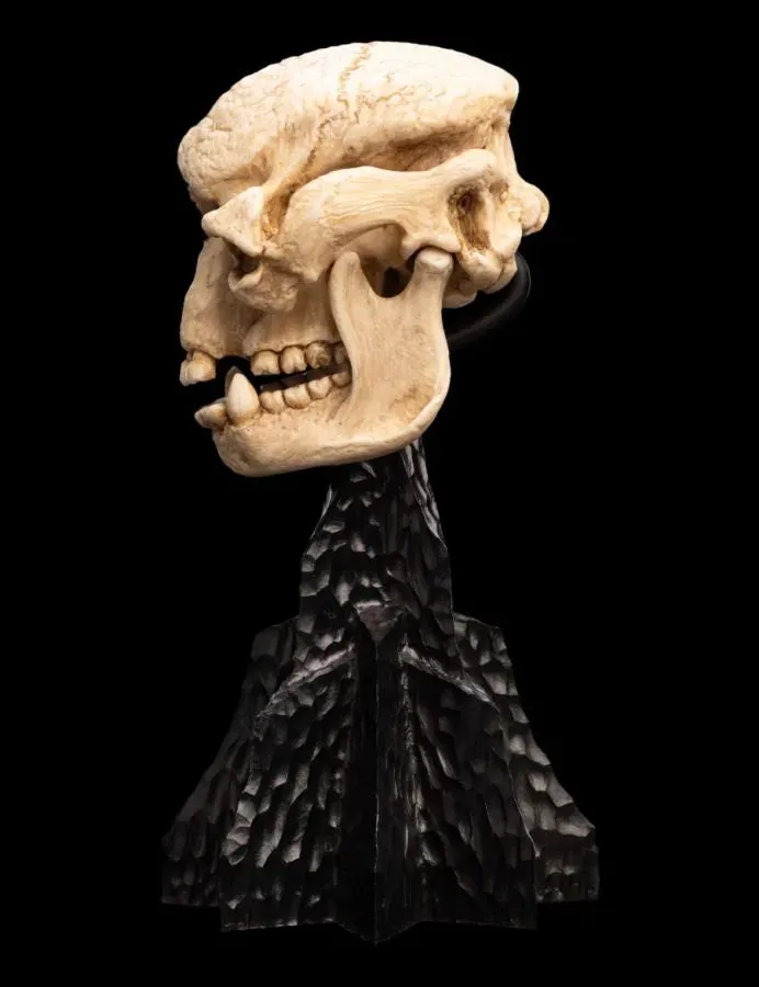The Lord of the Rings - Skull of a Cave Troll Miniature Skull - Image 2